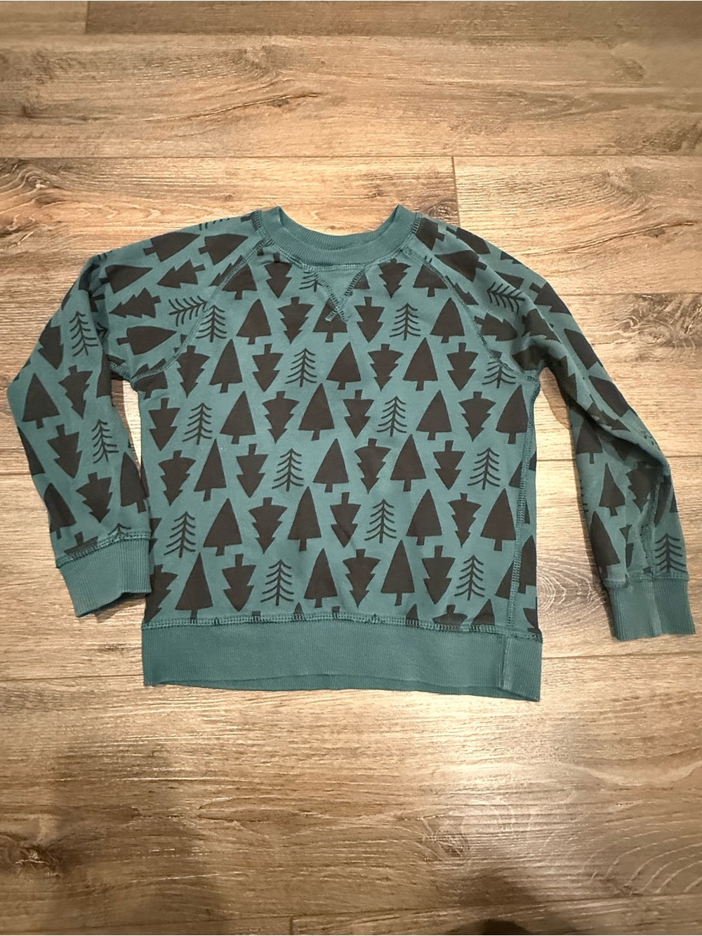 Hanna Andersson Boys Teal Crewneck Sweater with Black Christmas Trees, Holiday